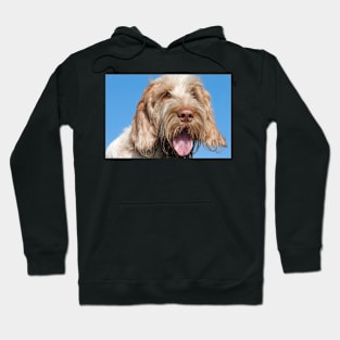 Blue Sky Spinone Hoodie